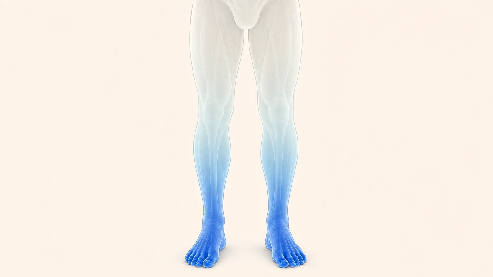 손발 끝 쪽으로 냉감이 이어지는 한증 온도 분포를 나타내는 서모그래피 이미지